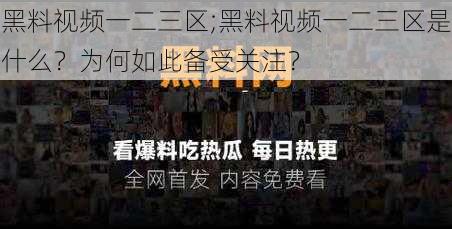 黑料视频一二三区;黑料视频一二三区是什么？为何如此备受关注？