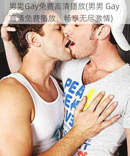 男男Gay免费高清播放(男男 Gay 高清免费播放，畅享无尽激情)