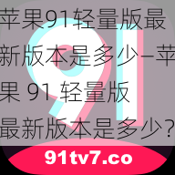 苹果91轻量版最新版本是多少—苹果 91 轻量版最新版本是多少？