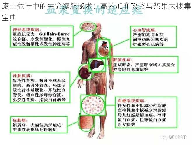 废土危行中的生命续航秘术：高效加血攻略与浆果大搜集宝典