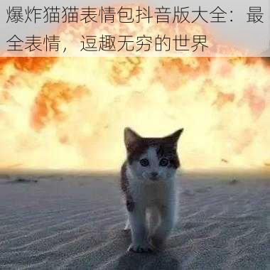 爆炸猫猫表情包抖音版大全：最全表情，逗趣无穷的世界