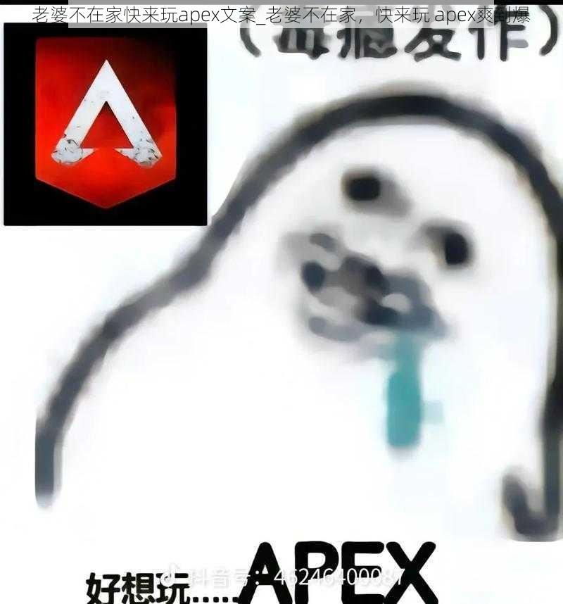 老婆不在家快来玩apex文案_老婆不在家，快来玩 apex爽到爆