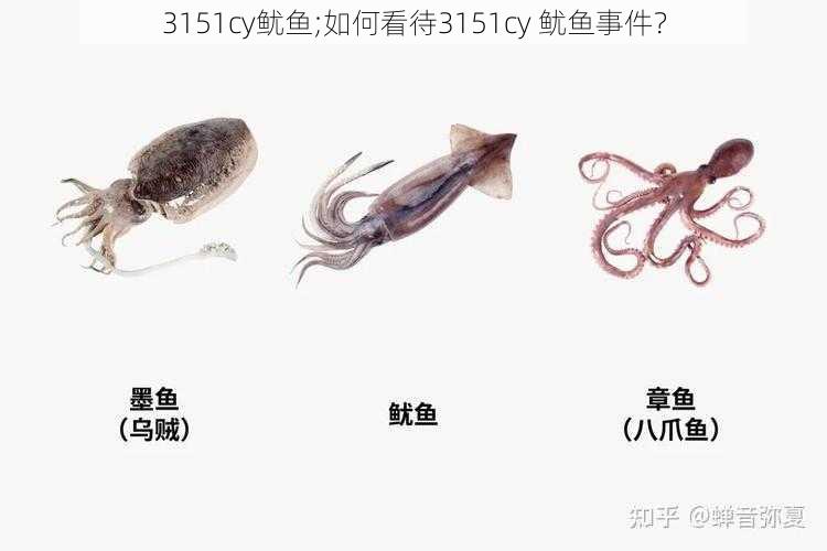 3151cy鱿鱼;如何看待3151cy 鱿鱼事件？