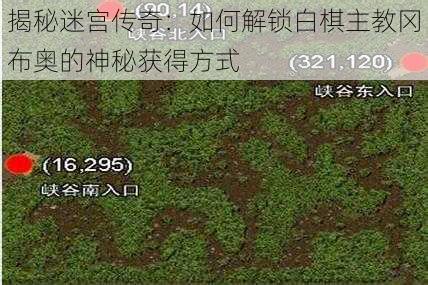 揭秘迷宫传奇：如何解锁白棋主教冈布奥的神秘获得方式