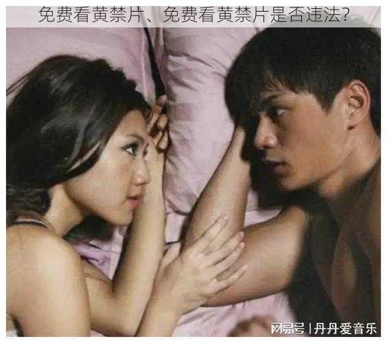 免费看黄禁片、免费看黄禁片是否违法？