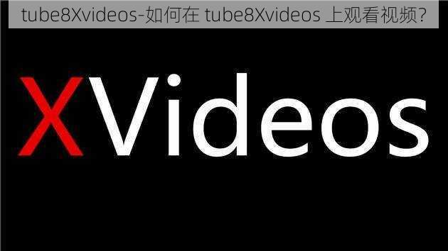 tube8Xvideos-如何在 tube8Xvideos 上观看视频？