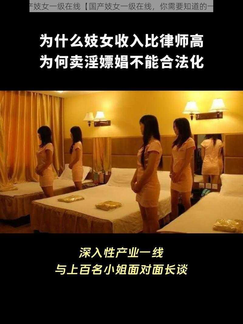 国产妓女一级在线【国产妓女一级在线，你需要知道的一切】