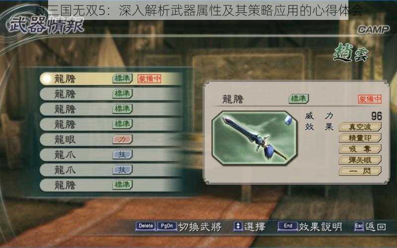 真三国无双5：深入解析武器属性及其策略应用的心得体会