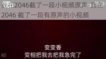 我在2046截了一段小视频原声-我在 2046 截了一段有原声的小视频