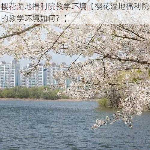 樱花湿地福利院教学环境【樱花湿地福利院的教学环境如何？】