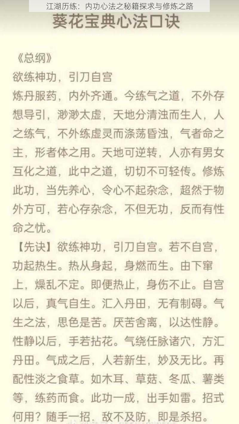 江湖历练：内功心法之秘籍探求与修炼之路