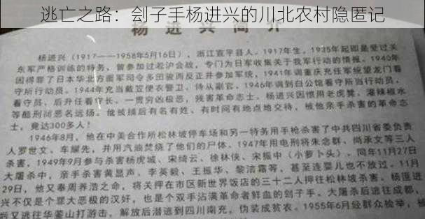 逃亡之路：刽子手杨进兴的川北农村隐匿记