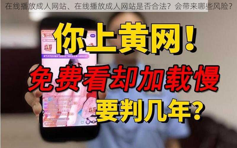 在线播放成人网站、在线播放成人网站是否合法？会带来哪些风险？