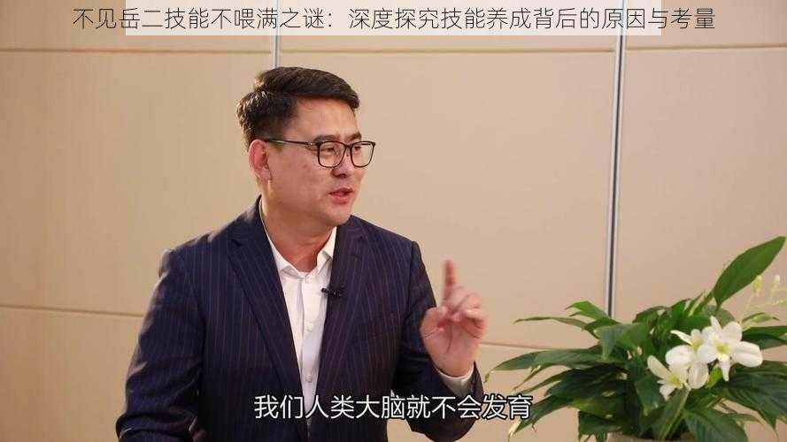 不见岳二技能不喂满之谜：深度探究技能养成背后的原因与考量