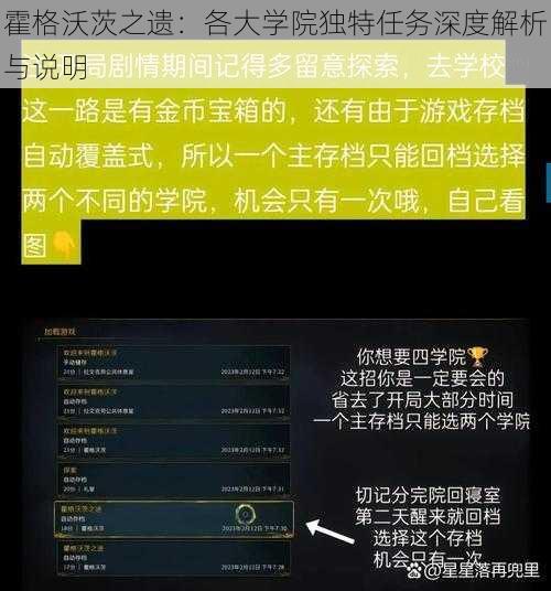 霍格沃茨之遗：各大学院独特任务深度解析与说明