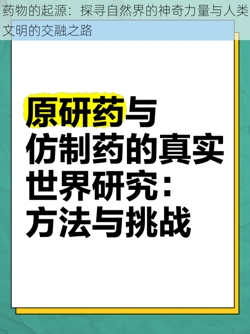 药物的起源：探寻自然界的神奇力量与人类文明的交融之路