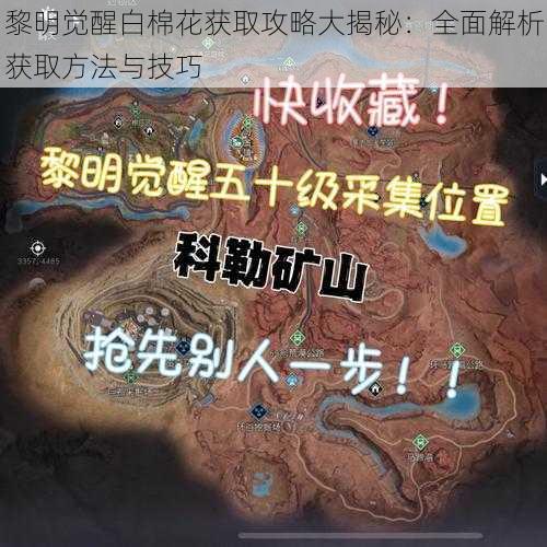 黎明觉醒白棉花获取攻略大揭秘：全面解析获取方法与技巧