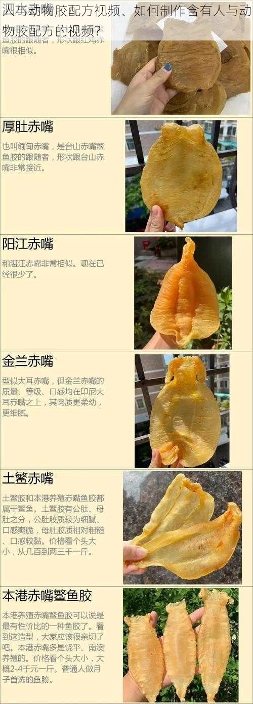 人与动物胶配方视频、如何制作含有人与动物胶配方的视频？