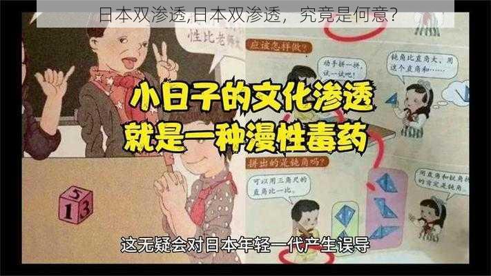 日本双渗透,日本双渗透，究竟是何意？