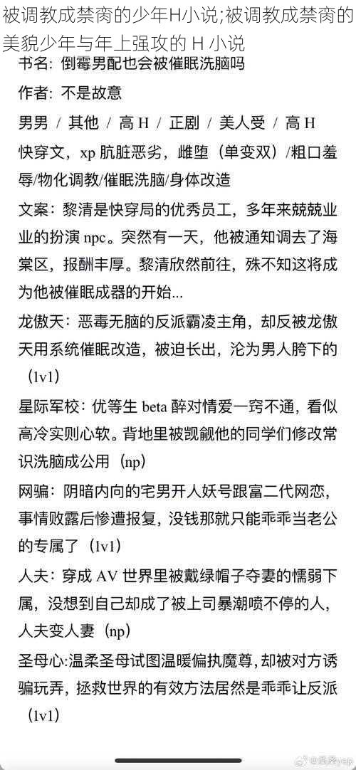 被调教成禁脔的少年H小说;被调教成禁脔的美貌少年与年上强攻的 H 小说