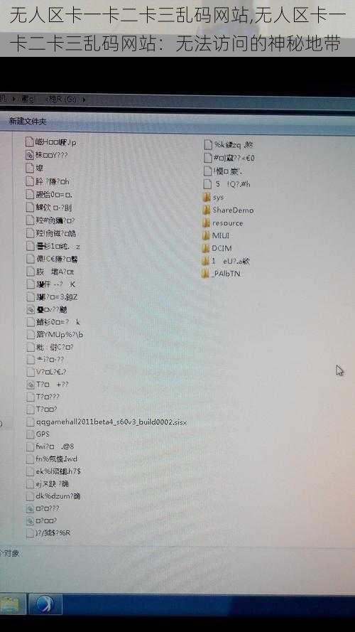 无人区卡一卡二卡三乱码网站,无人区卡一卡二卡三乱码网站：无法访问的神秘地带