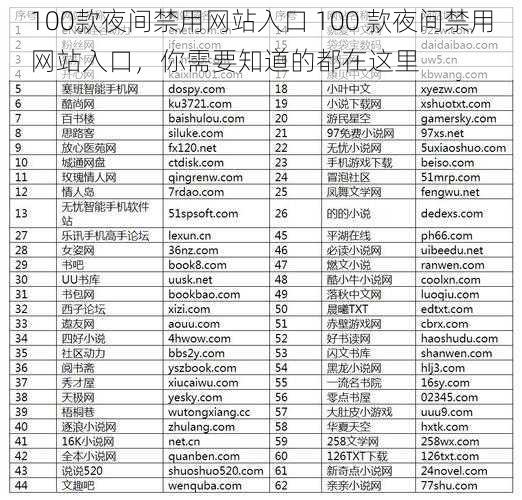 100款夜间禁用网站入口 100 款夜间禁用网站入口，你需要知道的都在这里