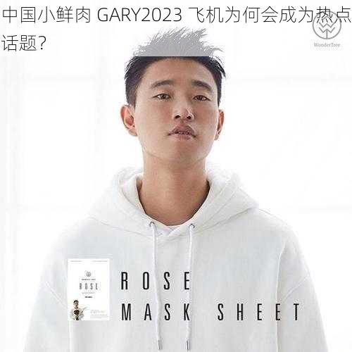 中国小鲜肉 GARY2023 飞机为何会成为热点话题？