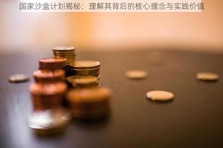 国家沙盒计划揭秘：理解其背后的核心理念与实践价值