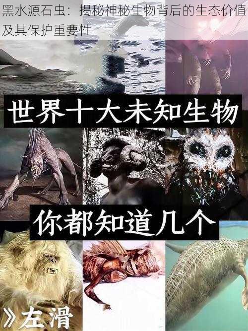 黑水源石虫：揭秘神秘生物背后的生态价值及其保护重要性