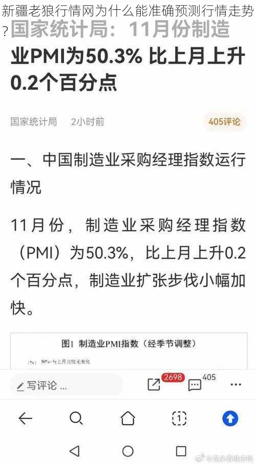 新疆老狼行情网为什么能准确预测行情走势？