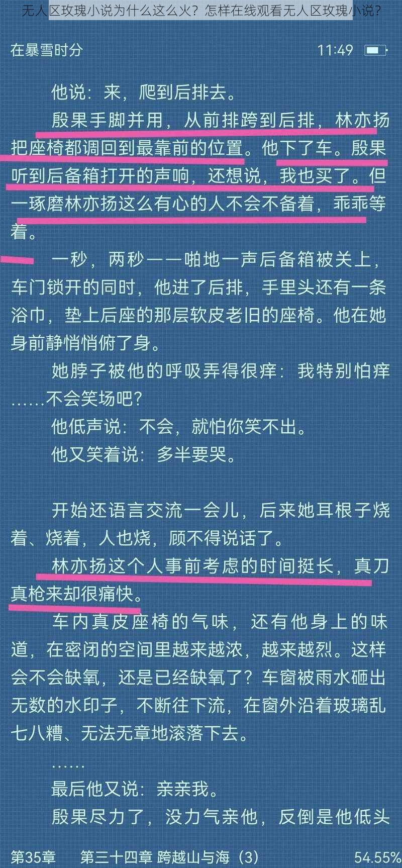 无人区玫瑰小说为什么这么火？怎样在线观看无人区玫瑰小说？