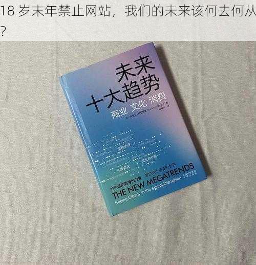 18 岁末年禁止网站，我们的未来该何去何从？