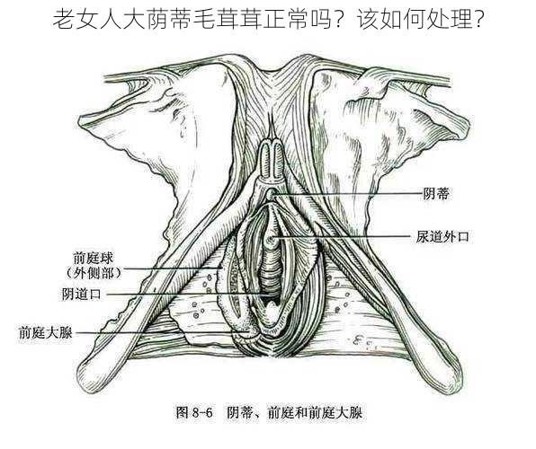 老女人大荫蒂毛茸茸正常吗？该如何处理？