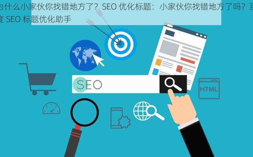 为什么小家伙你找错地方了？SEO 优化标题：小家伙你找错地方了吗？百度 SEO 标题优化助手