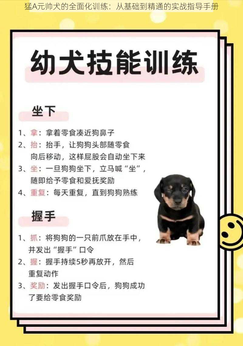 猛A元帅犬的全面化训练：从基础到精通的实战指导手册