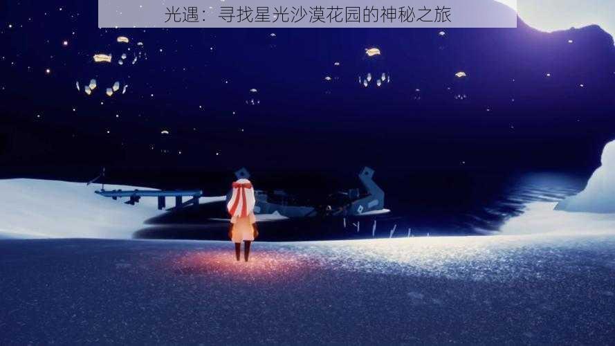 光遇：寻找星光沙漠花园的神秘之旅