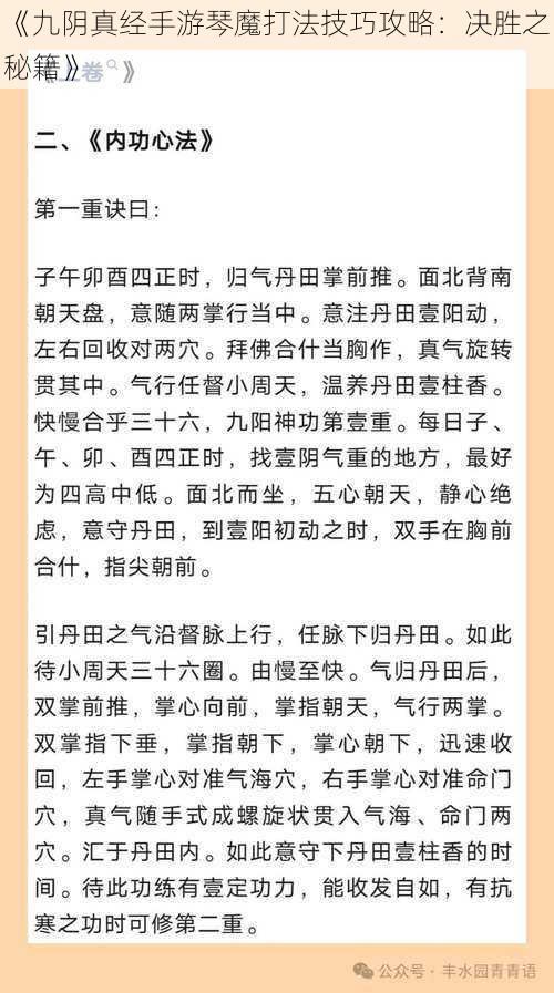 《九阴真经手游琴魔打法技巧攻略：决胜之秘籍》