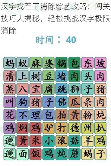 汉字找茬王消除综艺攻略：闯关技巧大揭秘，轻松挑战汉字极限消除