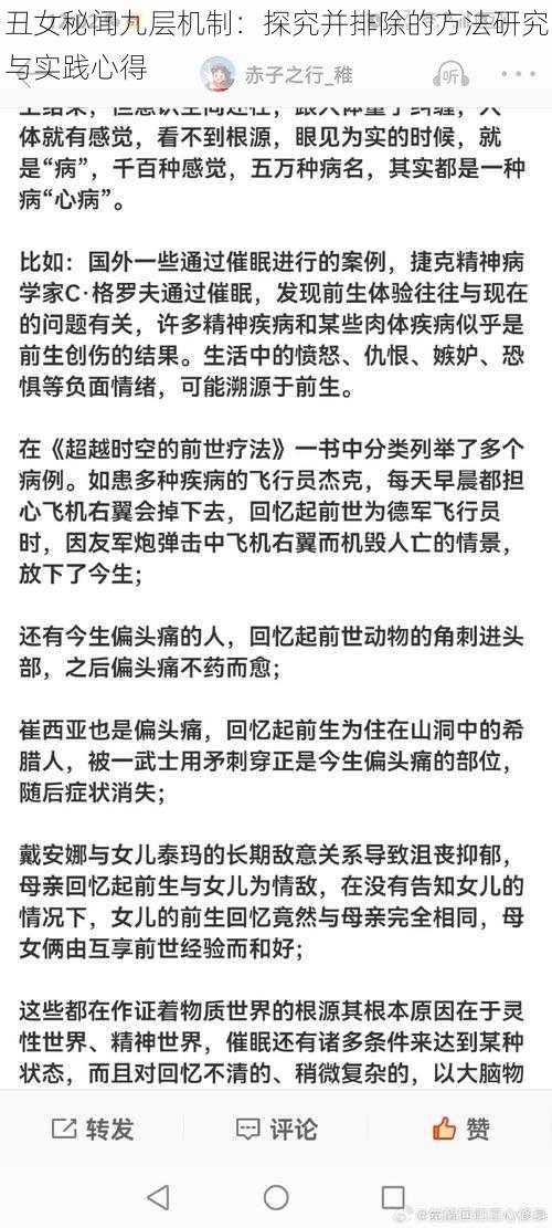 丑女秘闻九层机制：探究并排除的方法研究与实践心得