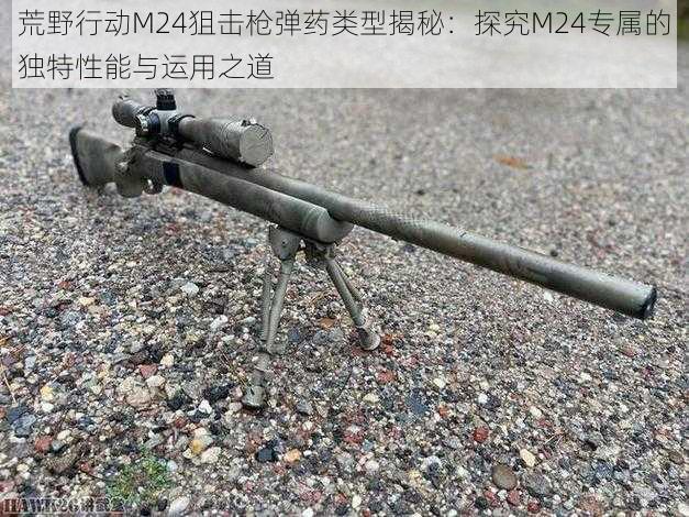 荒野行动M24狙击枪弹药类型揭秘：探究M24专属的独特性能与运用之道