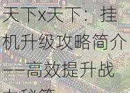 天下x天下：挂机升级攻略简介——高效提升战力秘籍